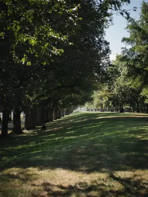 The Potomac Park Levee System runs parallel to the Lincoln Memorial Reflecting Pool in Washington, D.C.